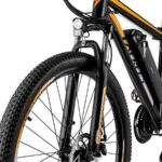 Fafrees F28 MT Dorado - Bicicleta eléctrica urbana, 250 W, 65 km - Imagen 6